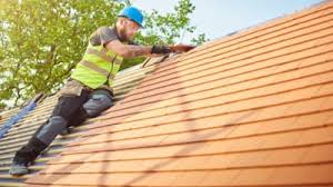 Best Roof Moss and Algae Removal  in Frackville, PA