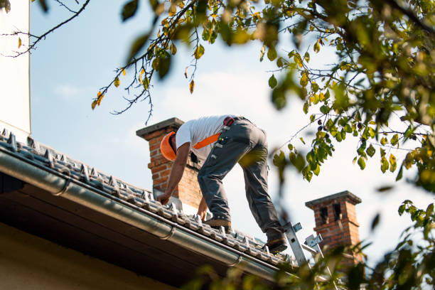 Best Roof Maintenance and Cleaning  in Frackville, PA