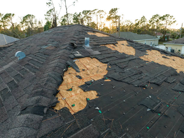 Best Skylight Installation and Repair  in Frackville, PA