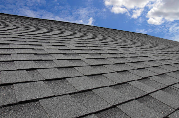 Best Roof Insulation Installation  in Frackville, PA